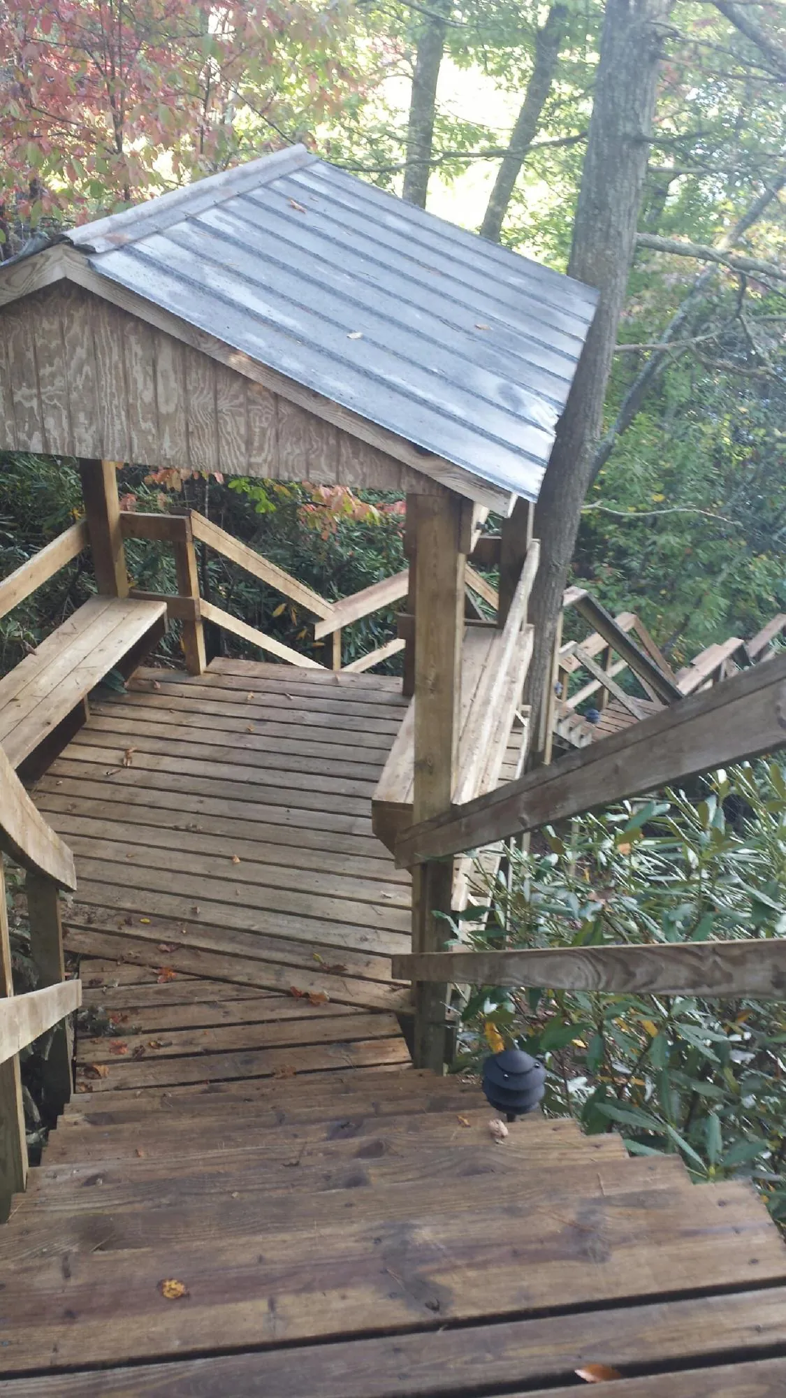 Metal roofed shelter over wooden steps on a wooded walkway — Skylight Repair & Installation work by our crew in Duvall