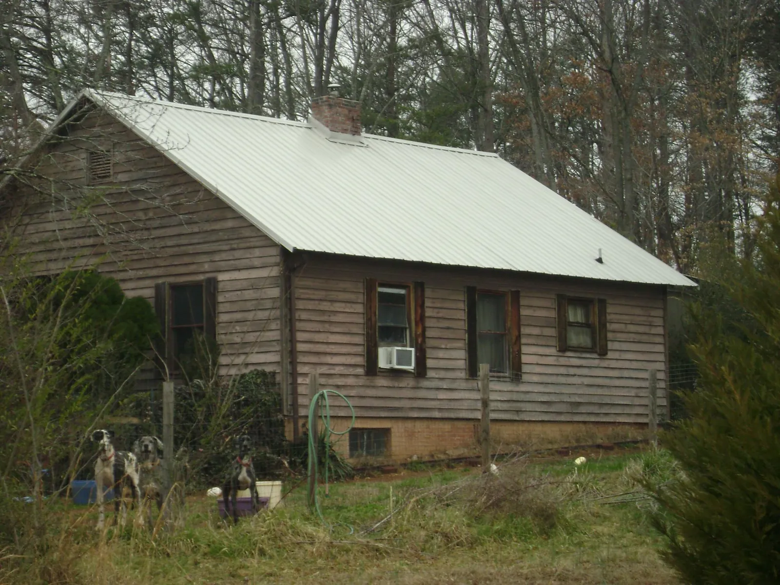 White metal roof on an old wood sided farmhouse, from a Metal Roof Installation job in Duvall